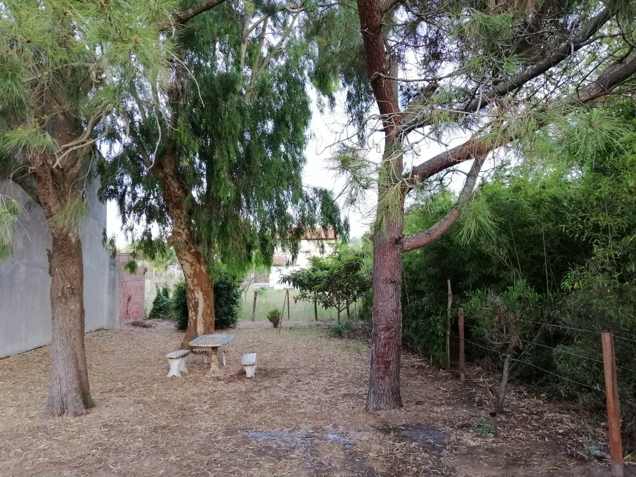 la ganada - foto 4 — foto 4
