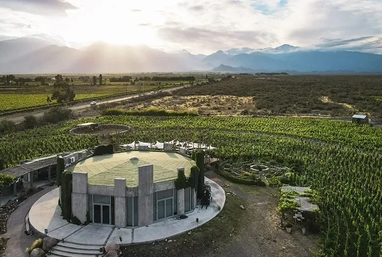 ZUCCARDI & ALFA CRUX — foto 2